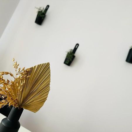 Music & Love Apartments And Rooms Katowice Bagian luar foto